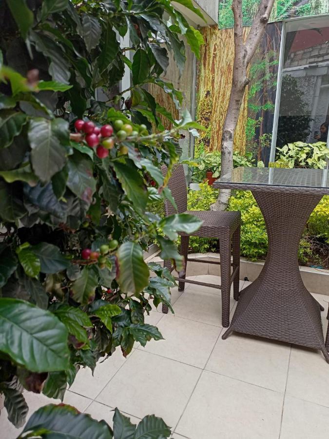 Hotel Marbella Chico 波哥大 外观 照片